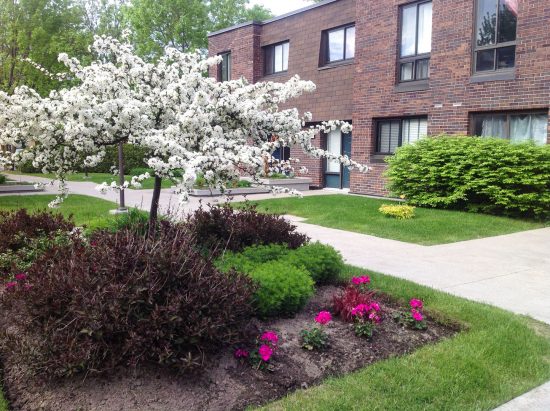 Le printemps sur nos terrasses